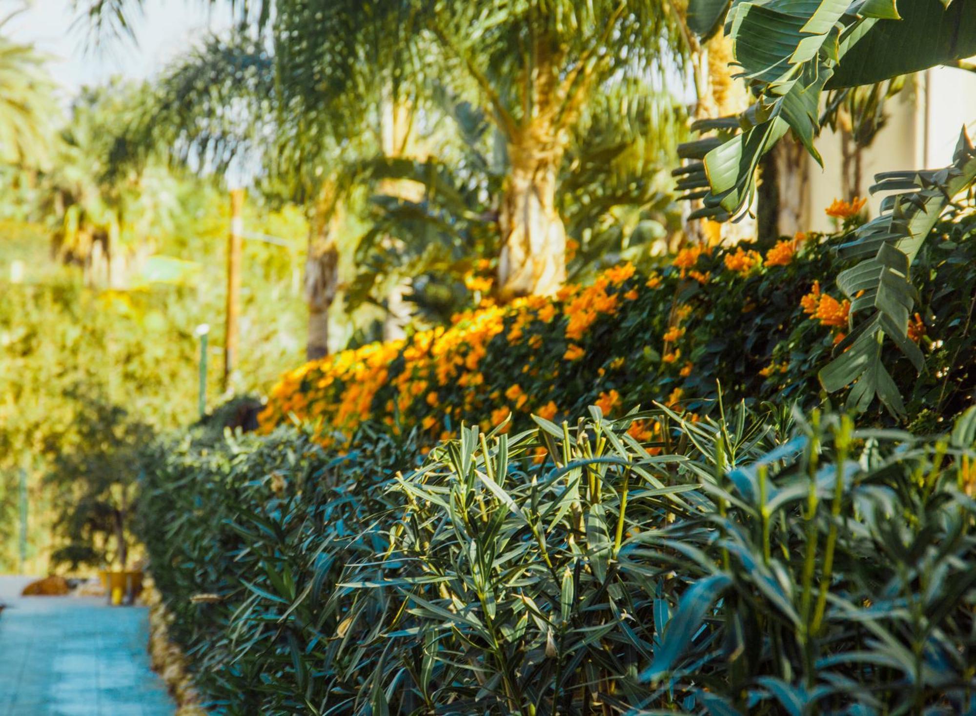 Sierra Blanca Art Of Healing Hotel Marbella